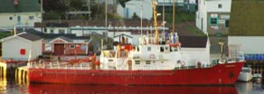 Image 8